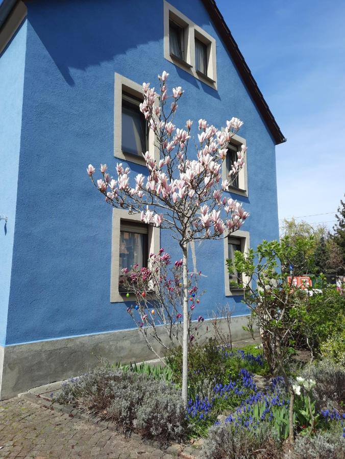 Kunstoase Am Blauen Haus Dresden Exterior foto